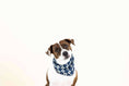 Load image into Gallery viewer, Ryder Dog Bandana