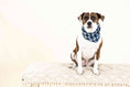 Load image into Gallery viewer, Ryder Dog Bandana