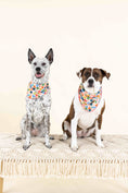Load image into Gallery viewer, Amelia Dog Bandana