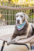 Load image into Gallery viewer, Tillie Dog Bandana