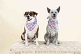 Load image into Gallery viewer, Giselle Dog Bandana