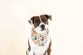 Load image into Gallery viewer, Amelia Dog Bandana