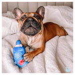 FURJI WATER PLUSH DOG TOY