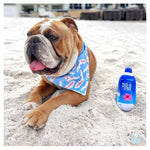 FURJI WATER PLUSH DOG TOY