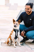 Load image into Gallery viewer, Rowan Dog Harness