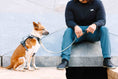 Load image into Gallery viewer, Rowan Dog Harness