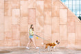 Load image into Gallery viewer, Kenna Dog Harness