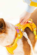 Load image into Gallery viewer, Kenna Dog Harness