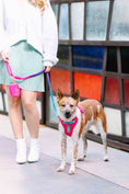 Load image into Gallery viewer, Stasia Dog Harness