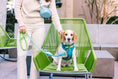 Load image into Gallery viewer, Joey Dog Harness