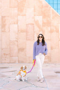 Load image into Gallery viewer, Kenna Dog Harness