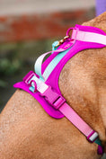 Load image into Gallery viewer, Joana Dog Harness