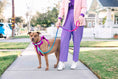 Load image into Gallery viewer, Joana Dog Harness