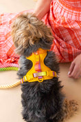 Load image into Gallery viewer, Kenna Dog Harness