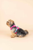 Load image into Gallery viewer, Stasia Dog Harness