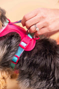 Load image into Gallery viewer, Stasia Dog Harness