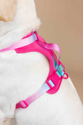 Load image into Gallery viewer, Stasia Dog Harness