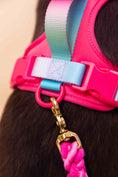Load image into Gallery viewer, Stasia Dog Harness