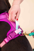 Load image into Gallery viewer, Joana Dog Harness