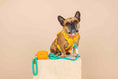 Load image into Gallery viewer, Kenna Dog Harness
