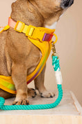 Load image into Gallery viewer, Kenna Dog Harness