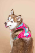 Load image into Gallery viewer, Stasia Dog Harness