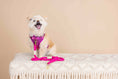 Load image into Gallery viewer, Joana Dog Harness