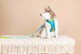 Load image into Gallery viewer, Joey Dog Harness
