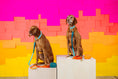 Load image into Gallery viewer, Dario Waste Bag Holder & Treat Pouch