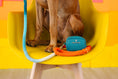 Load image into Gallery viewer, Dario Waste Bag Holder & Treat Pouch