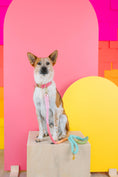 Load image into Gallery viewer, Ella Dog Collar