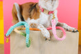 Load image into Gallery viewer, Halston Rope Dog Leash