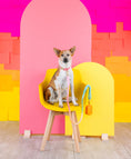 Load image into Gallery viewer, Halston Rope Dog Leash
