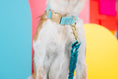 Load image into Gallery viewer, Perry Dog Collar