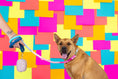 Load image into Gallery viewer, Maddox Rope Dog Leash