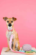 Load image into Gallery viewer, Willow Waste Bag Holder & Treat Pouch