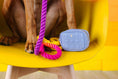 Load image into Gallery viewer, Ava Waste Bag Holder & Treat Pouch