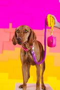 Load image into Gallery viewer, Roxy Rope Dog Leash