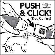 Looney Tunes Logo Full Color White Seatbelt Buckle Collar - Wile E. Coyote Expressions Stacked