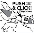 Load image into Gallery viewer, Dog Bone Black/Silver Seatbelt Buckle Collar - PURE DETROIT Text Repeat Bright Orange/White