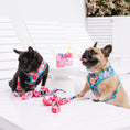 Load image into Gallery viewer, Frenchie Duo Reversible Harness - Paradise