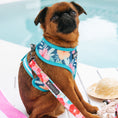 Load image into Gallery viewer, Frenchie Duo Reversible Harness - Paradise