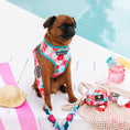 Load image into Gallery viewer, Frenchie Duo Reversible Harness - Paradise