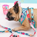 Load image into Gallery viewer, Frenchie Duo Reversible Harness - Paradise