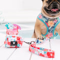 Load image into Gallery viewer, Frenchie Duo Reversible Harness - Paradise