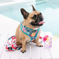 Load image into Gallery viewer, Frenchie Duo Reversible Harness - Paradise