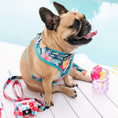 Load image into Gallery viewer, Frenchie Duo Reversible Harness - Paradise