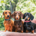 Load image into Gallery viewer, Gray Camo Dog Collar