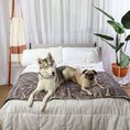 Load image into Gallery viewer, PupProtector™ Luxe Waterproof Bed Runner - Ultra Soft Chinchilla