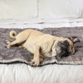 Load image into Gallery viewer, PupProtector™ Luxe Waterproof Bed Runner - Ultra Soft Chinchilla